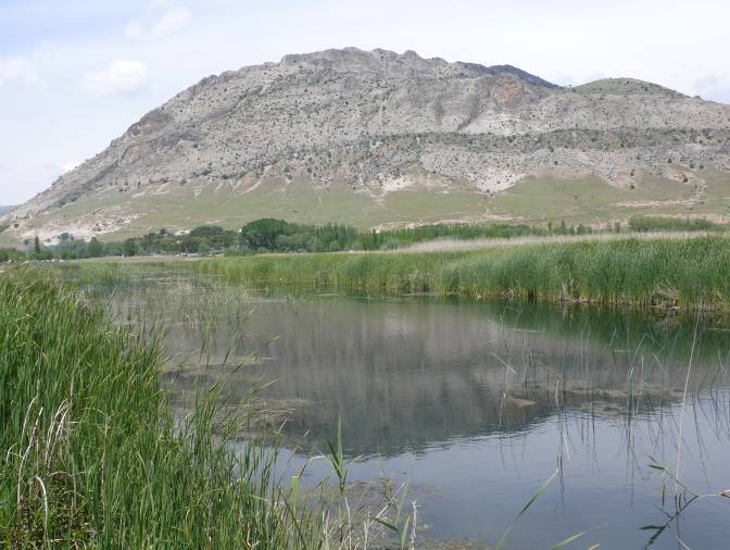 Habitat close to the town of Işıklı, Denizli province, Turkey.