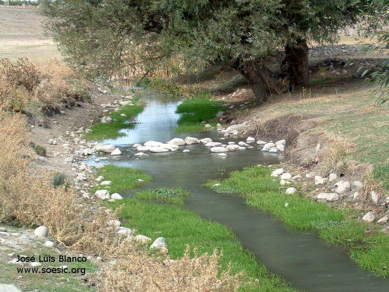 Habitat at Yenice village, close to Lake Tuz, Anatolia, Turkey.