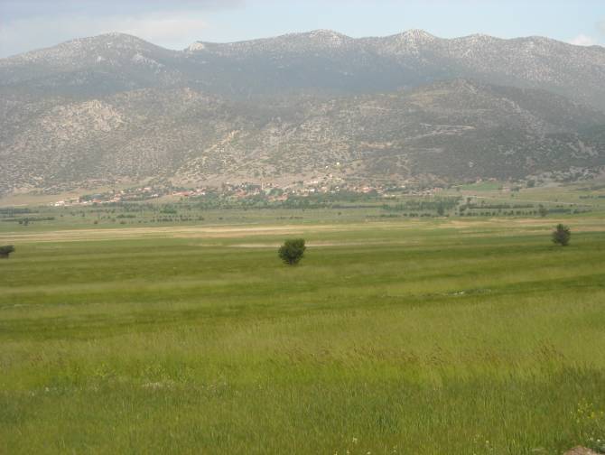 It seems likely that the type specimens were collected from this now dessicated lake bed near the town of Gŏlcük, close to Salda.