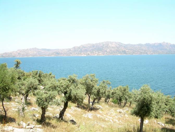 An inland population of the species inhabits Lake Bafa, southwest Turkey.