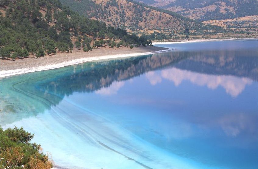 This species is endemic to Lake Salda, Turkey.