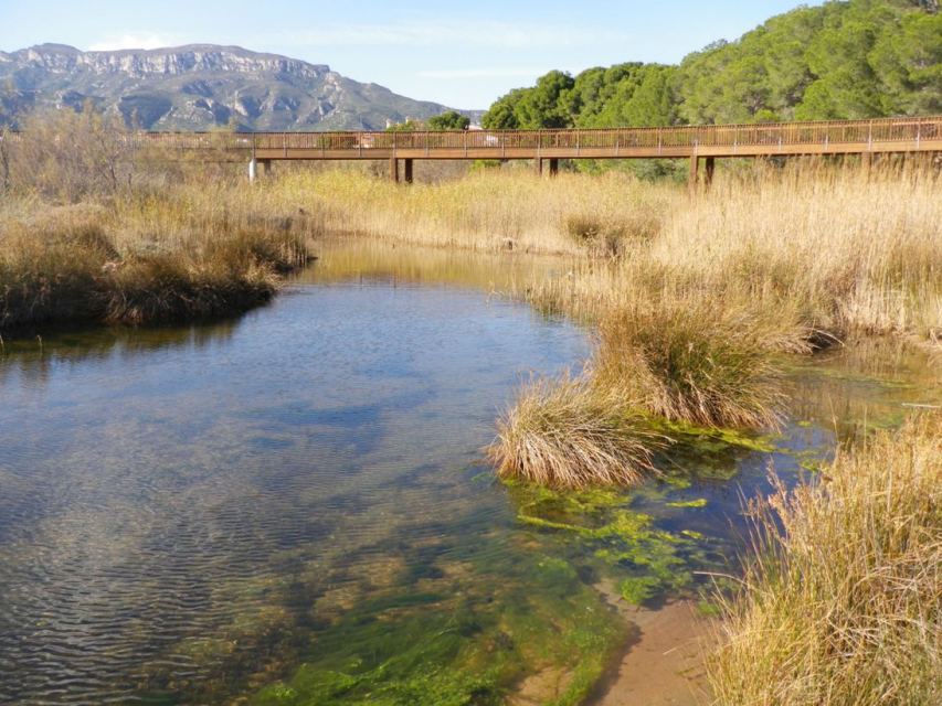 Permanent lagoon in another almost completely dessicated river bed in Catalunya and home to a small population of this species.
