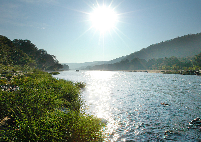 This species appears restricted to the Cauvery river system in southern India.
