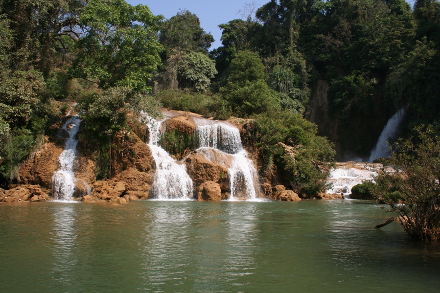 The Mahn San waterfall lies between the settlements of Hsipaw and Lashio in northern Myanmar and is a natural habitat of this species.