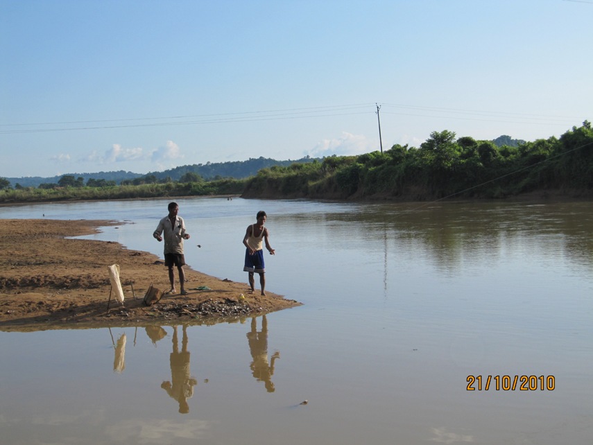 The Ganol river system in Meghalaya state, northeastern India is a natural habitat of B. rostrata sensu stricto.