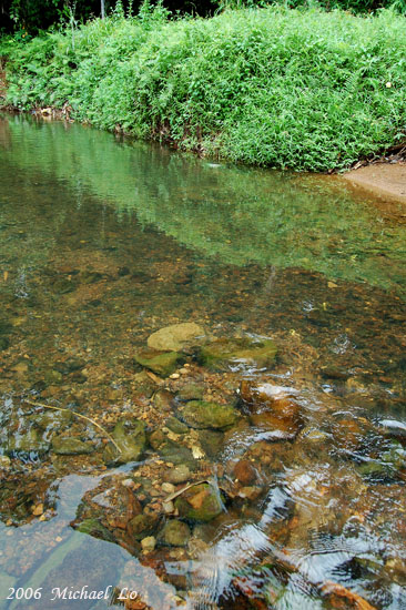 Another tributary of the Sadong River; syntopic species here include Paracrossocheilus vittatus.