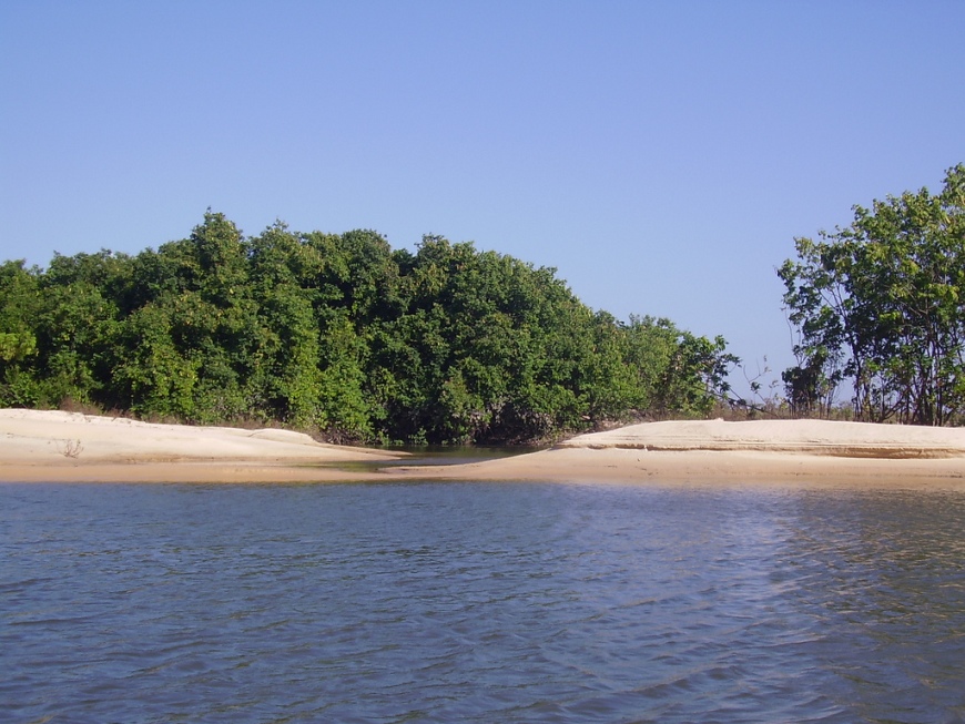 Another view of the Río Cinaruco.