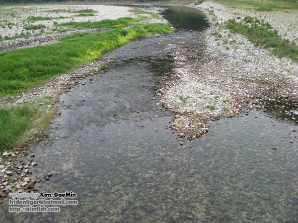 Typical habitat in the Yongdokoship River drainage, Yongdok county, Gyeongsangbuk-do (North Gyeongsang province), South Korea.
