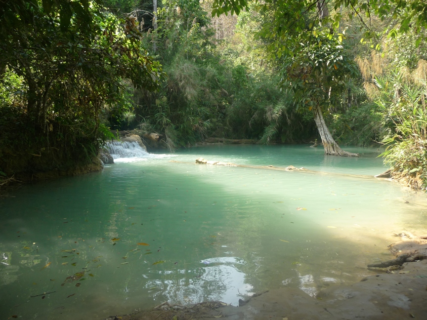 This species has been recorded in karstic waters downstream of the Kuang Si Falls in Luang Prabang Province, northern Laos.