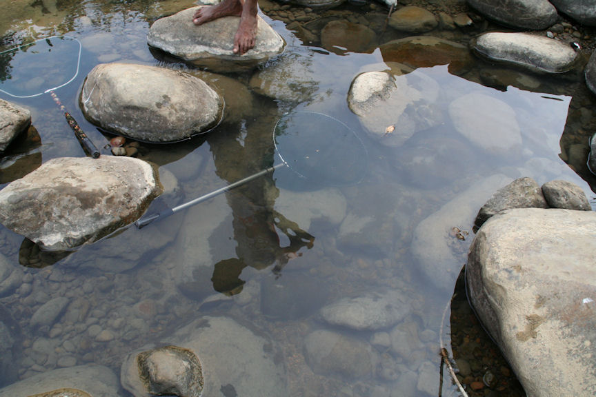 A closer view of Kyar stream.