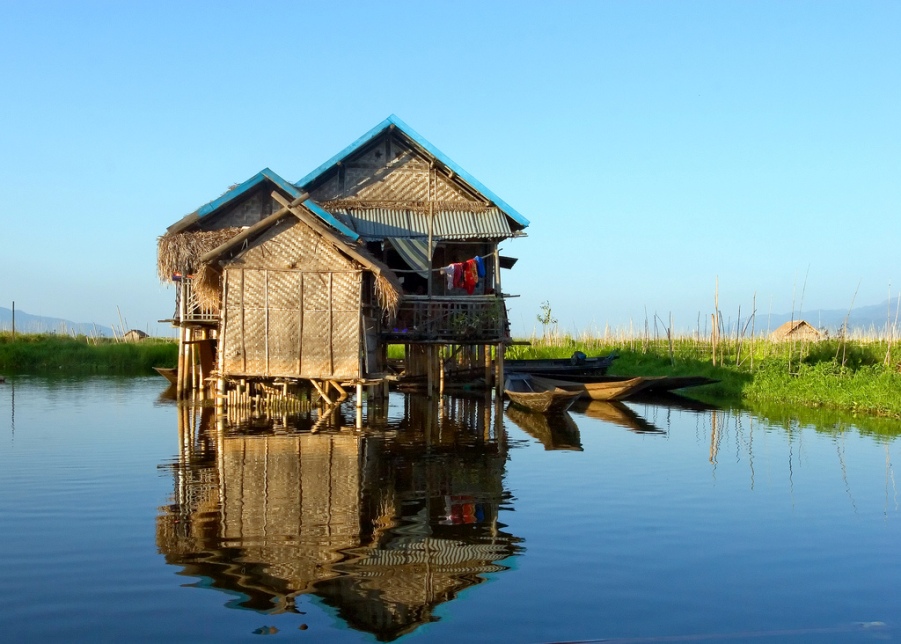 Refuse from traditional stilted houses on Inle provides an additional food source for fishes, including D. auropurpureus.