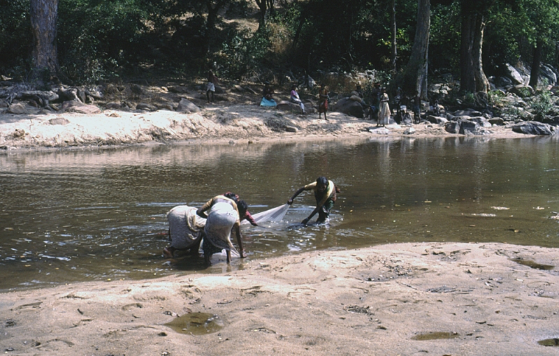 The sari makes a fine beach seine.