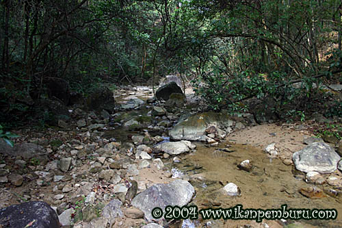 Another habitat near Conghua city, Guangdong province.