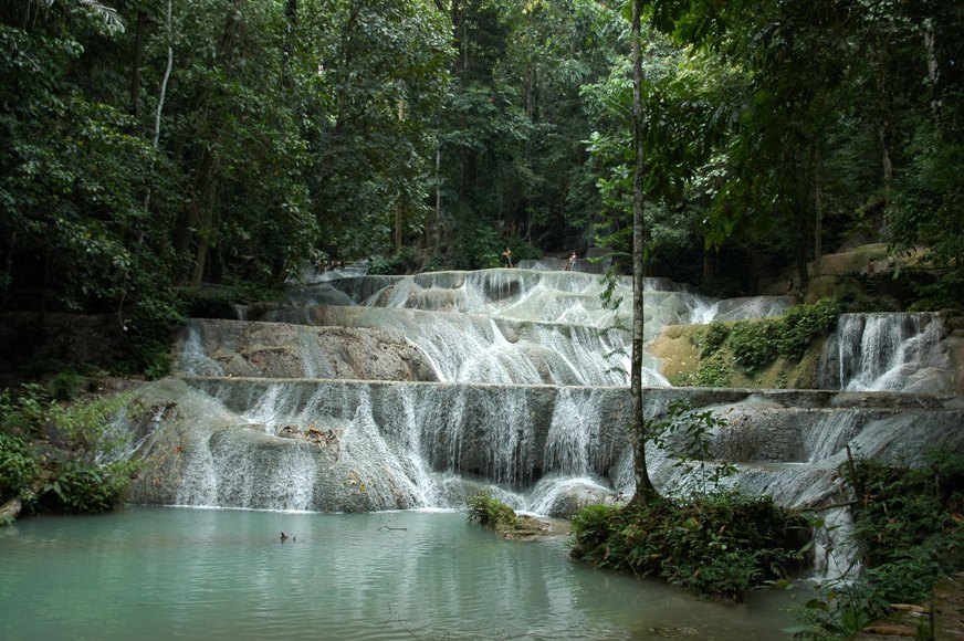 One population of this fish was collected at Sumbersari waterfalls, Southeast Sulawesi province.