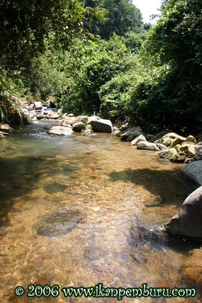 Habitat of the species near Shenzhen city, Guangdong province, China.