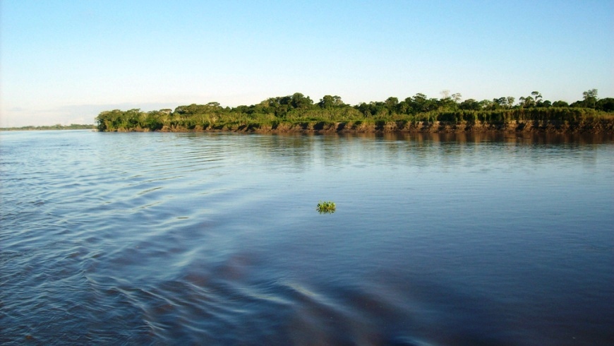 This species was described from the río Ucayali, Peru.