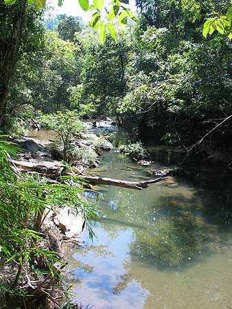 A typical habitat in the Kasa River basin.