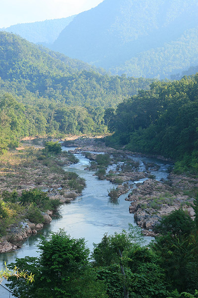 Habitat of the species in the upper Nan River, Thailand.