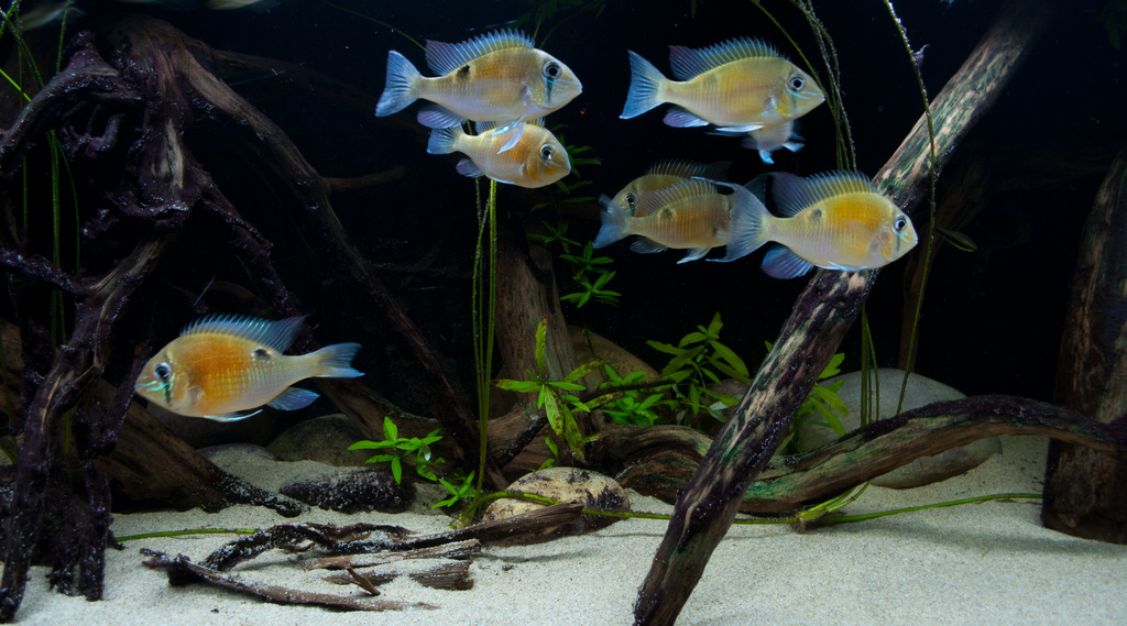 Adult group in a well-designed set-up.