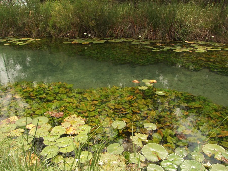 Another view of the natural channel at La Media Luna.
