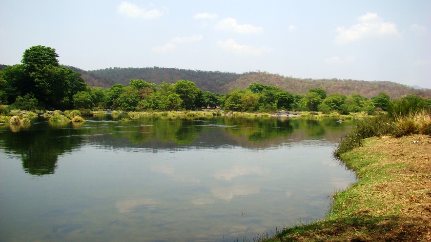 This species has been recorded from the Cauvery River at Muthati, Karnataka state.