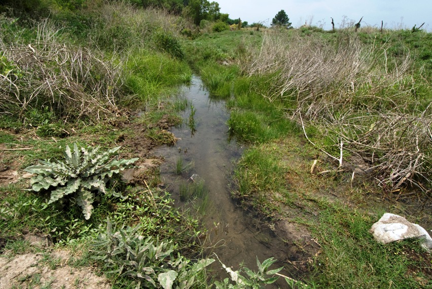 ...through this small channel.