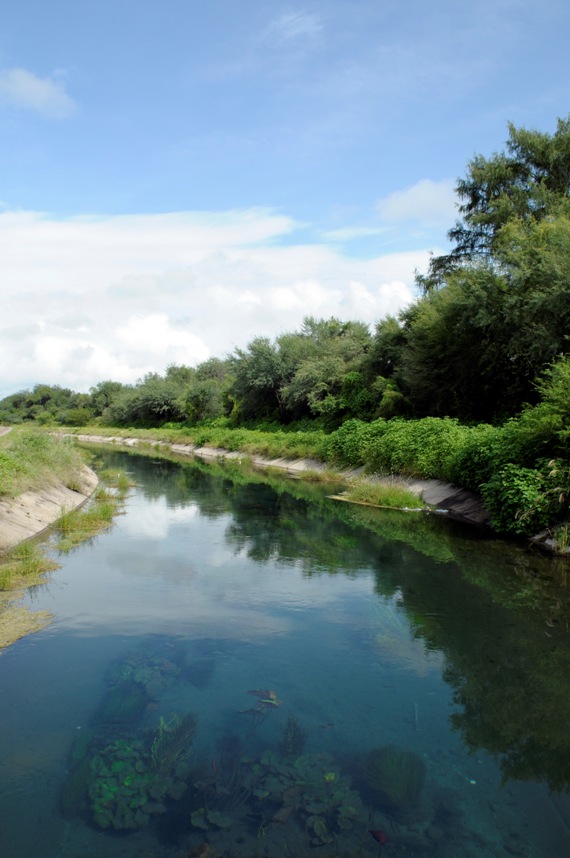There are three man-made irrigation channels extending from the Media Luna system.
