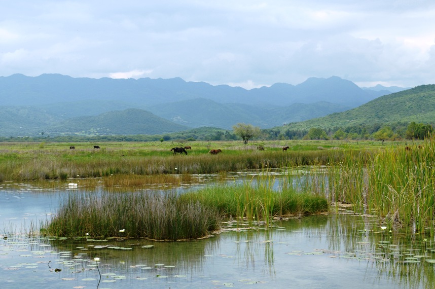 The natural channel and surrounding Río Verde valley.