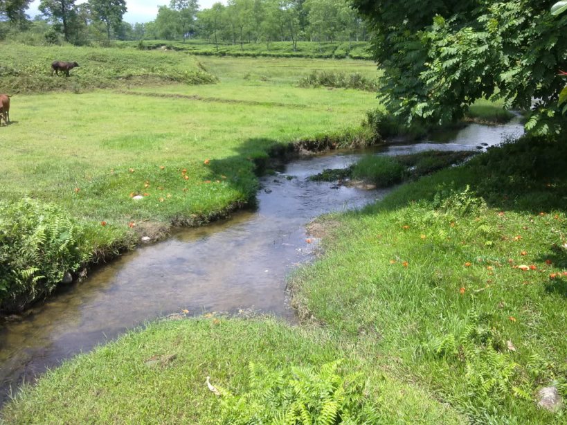 Habitat near Dam Dim, West Bengal state, India.