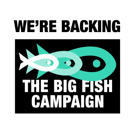 Big Fish Campaign logo