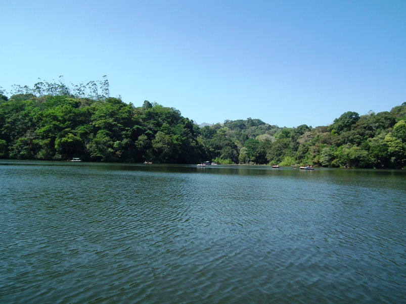 Pookode Lake is located in an area of natural beauty and is popular with tourists.