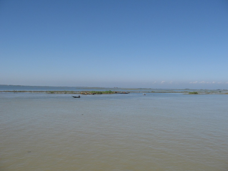 This species is common in the seasonally-inundated 'haor' area of Bangladesh. Here 'Alir Haor' in Sunamganj district, Sylhet Division, Bangladesh with the Khasi Hills, Meghalaya state, India, in the background.