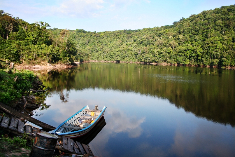 The Mazaruni River, Guyana, is a natural habitat of this species.