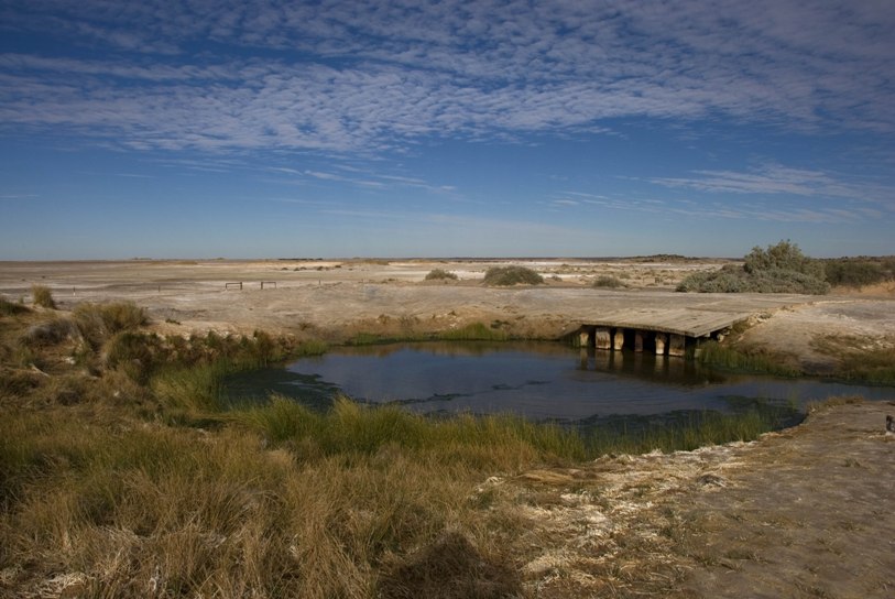 'The Bubbler' mound spring in the Wabma Kadarbu Conservation Park, South Australia