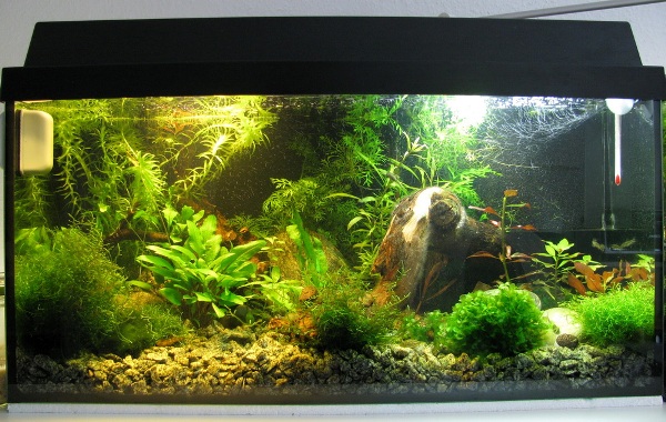 HMF article 018