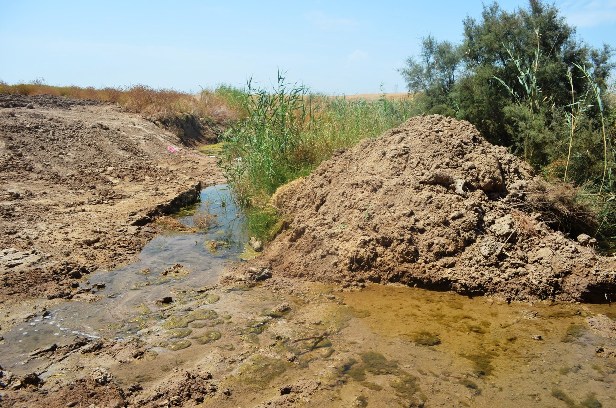The 'Arroyo Mascardó' in Sevilla province is a typical habitat of A. baeticus which has been degraded by human activity without intervention by authorities