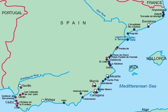 Map of populations in Spain with A. iberus (dark blue) and A. baeticus (purple).