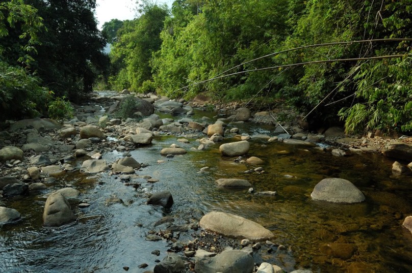 Habitat in Chanthaburi province, eastern Thailand.
