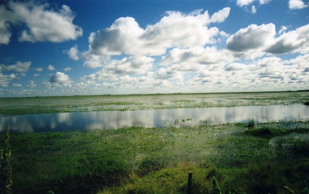 The llanos in Venezuela during wet season.