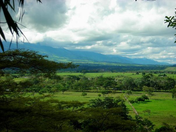 The llanos in Colombia