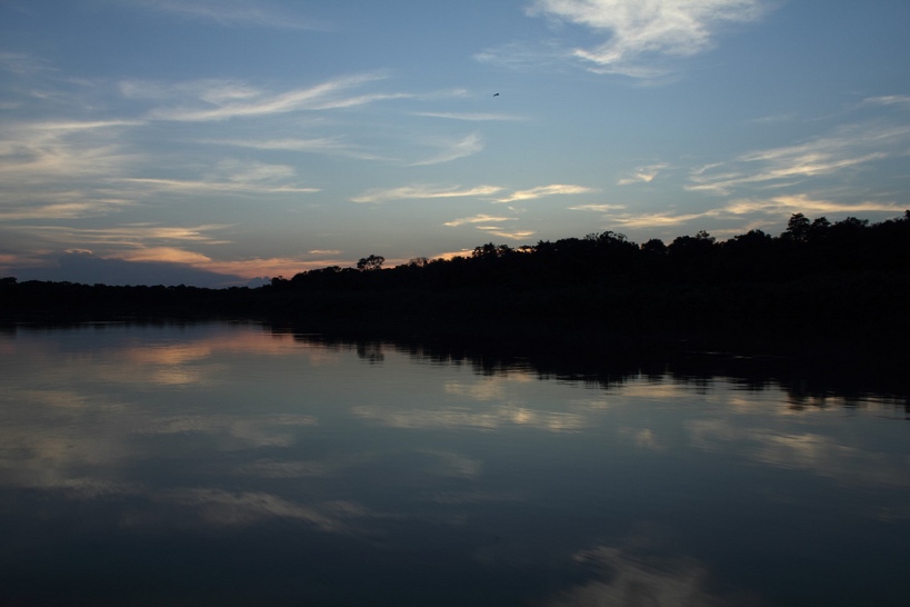 This species is endemic to the upper río Meta, seen here as it flows through Casanare Department, Colombia.