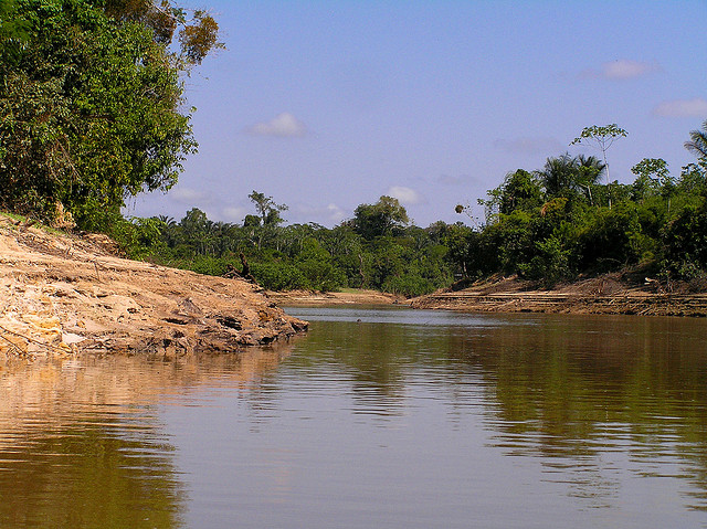 This species occurs in the Río Nanay system, Peru.
