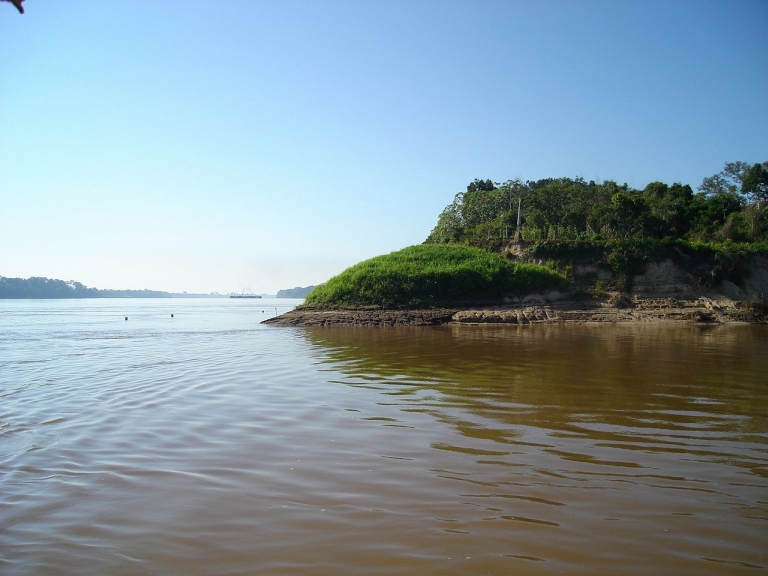 This species is known to inhabit the rio Abunã in Acre state, Brazil, seen here on the right at its confluence with the much larger rio Madeira (left).