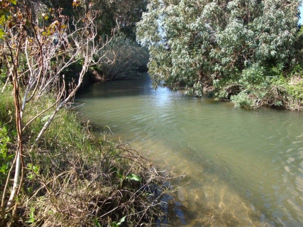 The Río de la Vega in spring