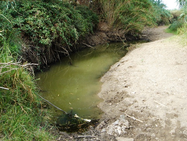 The Río de la Vega in summer