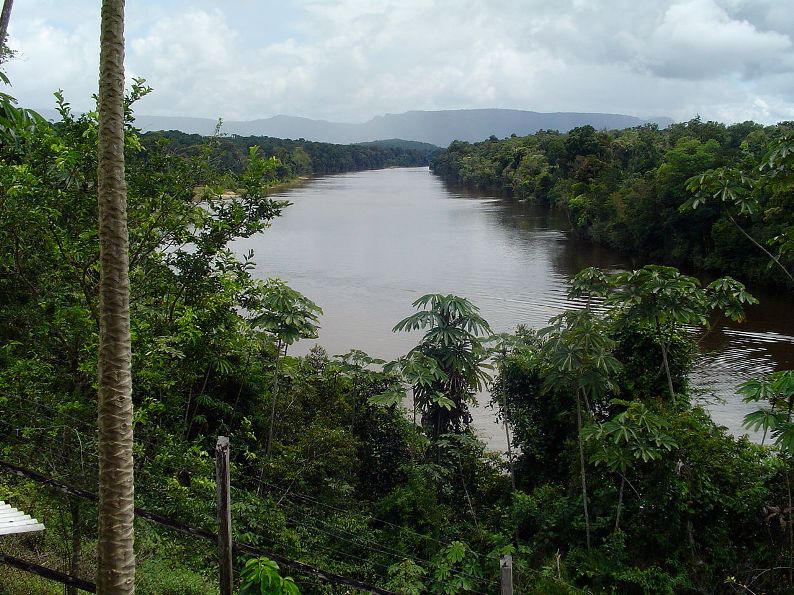 This species occurs in the Potaro River basin, a tributary of the Essequibo drainage in Guyana.