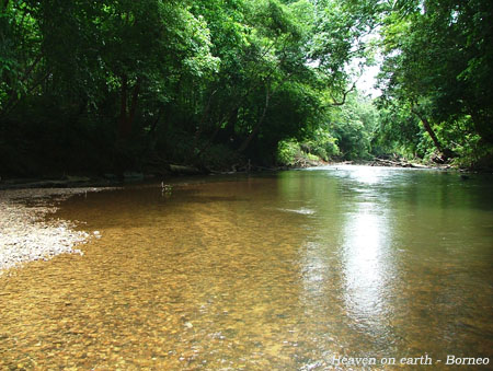 A tributary of the Sungai (river) Sarawak in the vicinity of Bau.