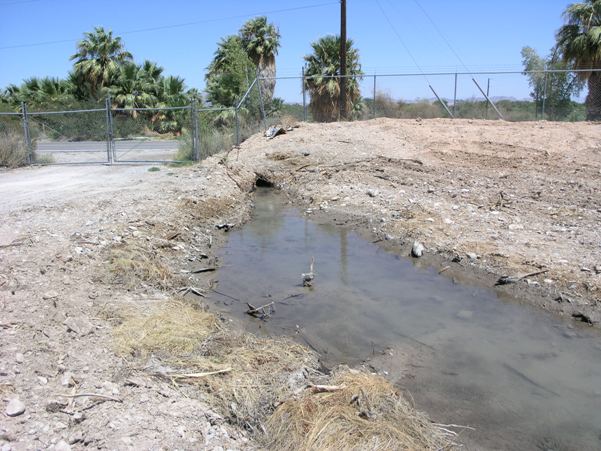 The original culvert seen here has now been replaced by a larger box culvert allowing fish to pass more easily