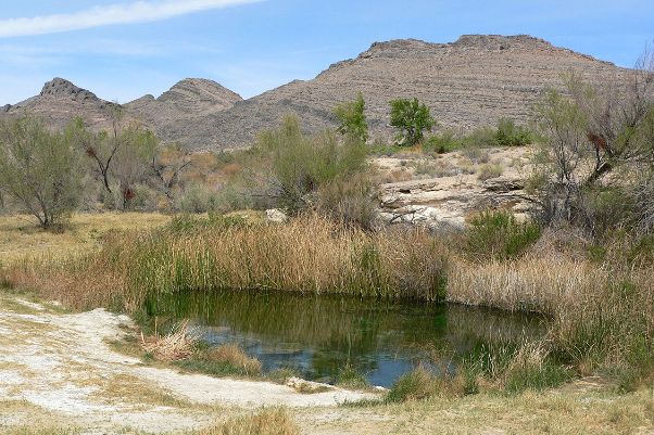 In the southern United States desert-dwelling fishes are often restricted to artesian springs such as the 'Point of Rocks' spring in Ash Meadows National Wildlife Refuge