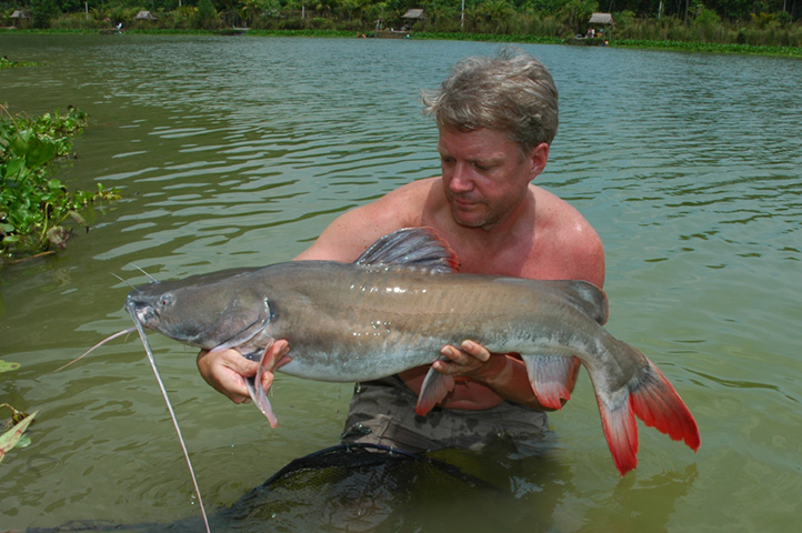 Adult, though not fully-grown, specimen from an articifically-stocked fishing lake in Thailand.